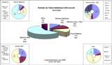 Informe Vulnerabilidades Abril 2006