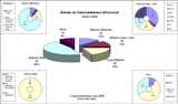 Informe Vulnerabilidades Enero 2006