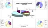 Informe Vulnerabilidades Febrero 2006