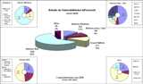 Informe Vulnerabilidades Junio 2006