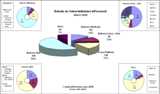 Informe Vulnerabilidades Marzo 2006