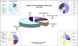Informe Vulnerabilidades Mayo 2006